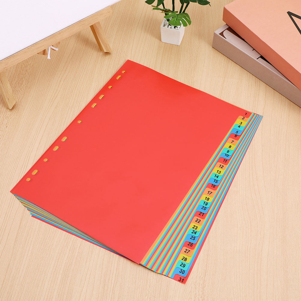 A4 사이즈 인덱스 분리대 2세트, 플라스틱 재질, 3 - Tab Divider A4 리뷰 및 가격